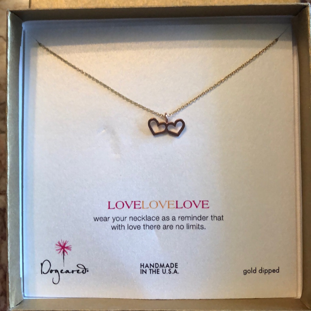 Dogeared Necklace 16$